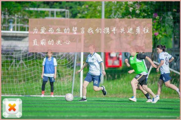 为爱而生的誓言我们携手共进勇往直前的决心